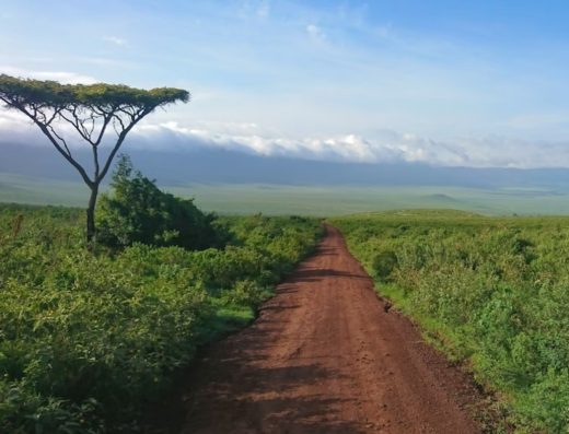 8 Days Tanzania Safari