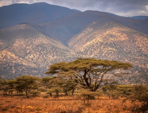 6 Days / 5 Nights Tanzania Wildlife & Culture Safari (From Zanzibar)